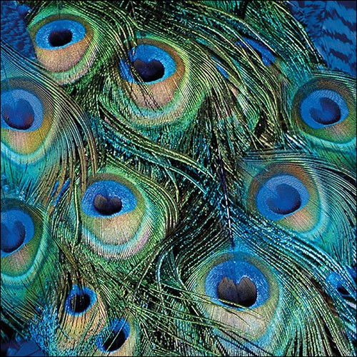 Servietten papier 33x33cm - 20,